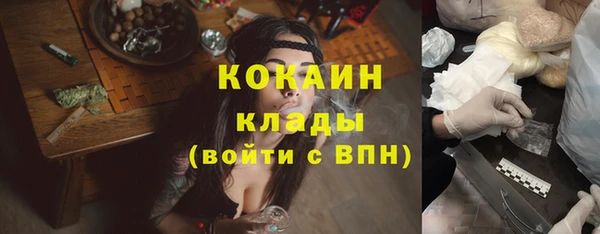 индика Новый Уренгой