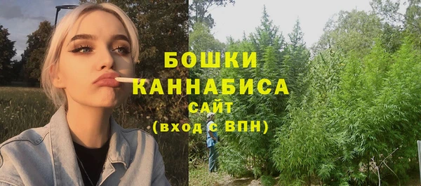 индика Балахна