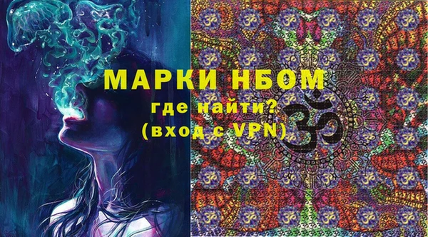 индика Балахна