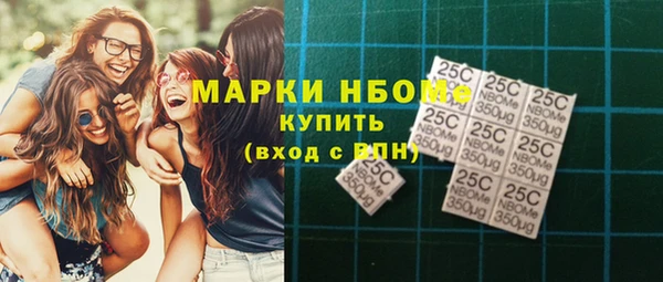 индика Балахна