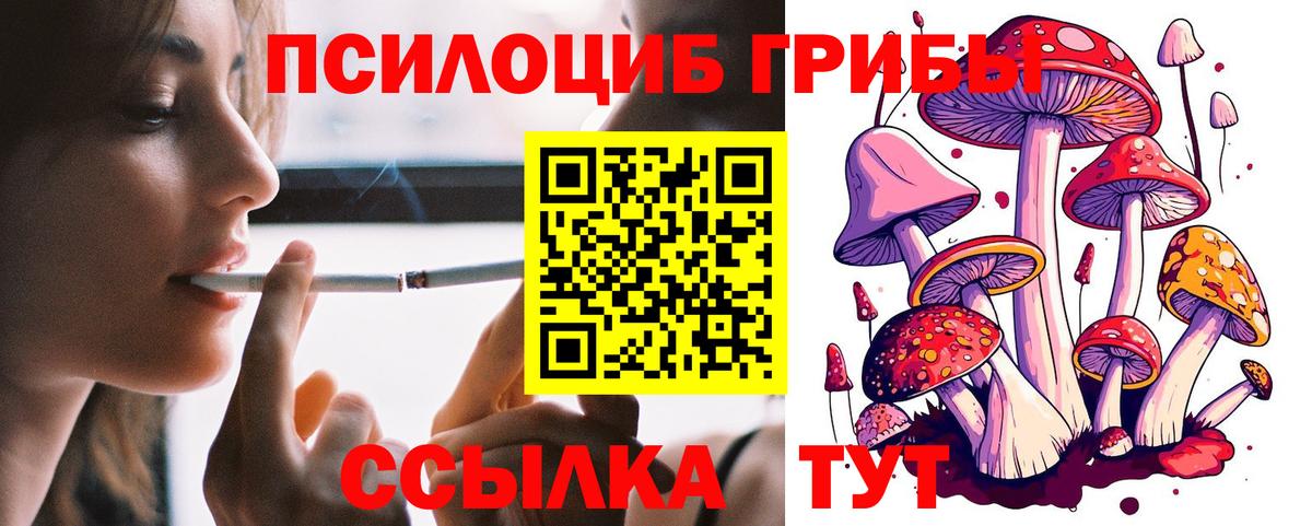 Псилоцибиновые грибы Psilocybe Кушва