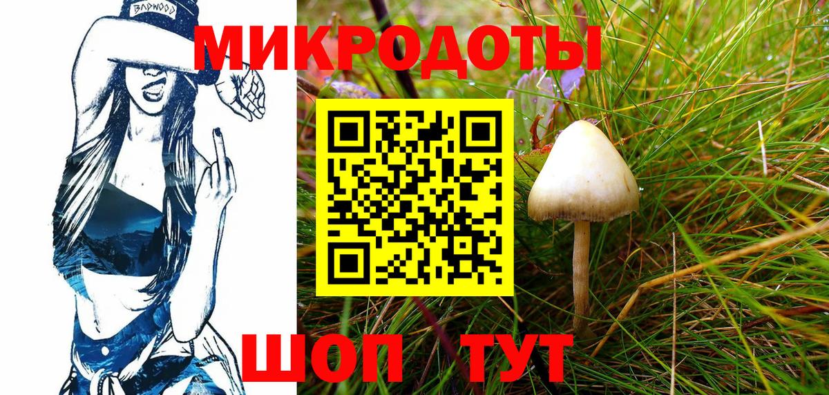 что такое   Вход с VPN  Псилоцибиновые грибы MAGIC MUSHROOMS  Кушва  Псилоцибиновые грибы Magic Shrooms 